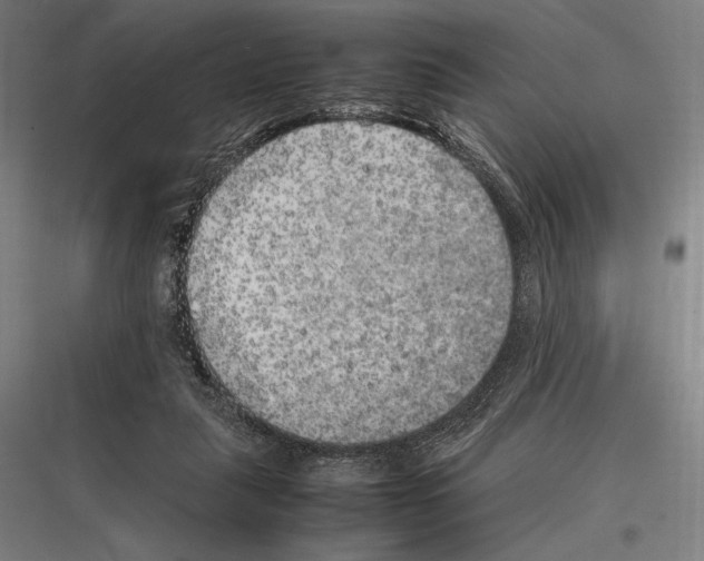 X0000116780259201001281220