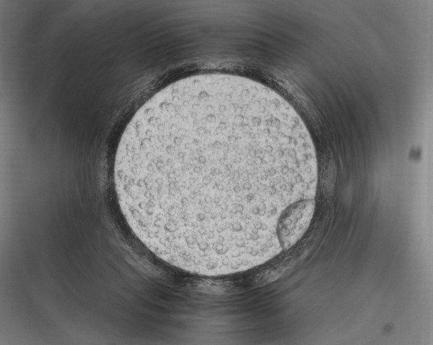 X0000116780261201001281220