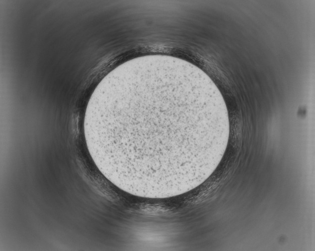 X0000116780262201001281220