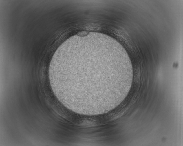 X0000116780263201001281220