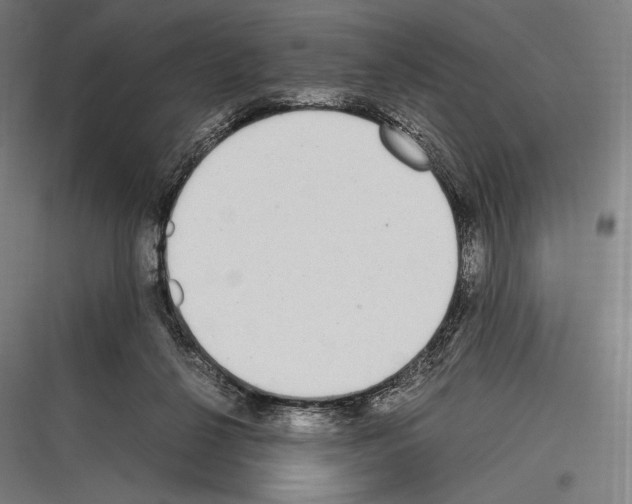 X0000116780264201001281220