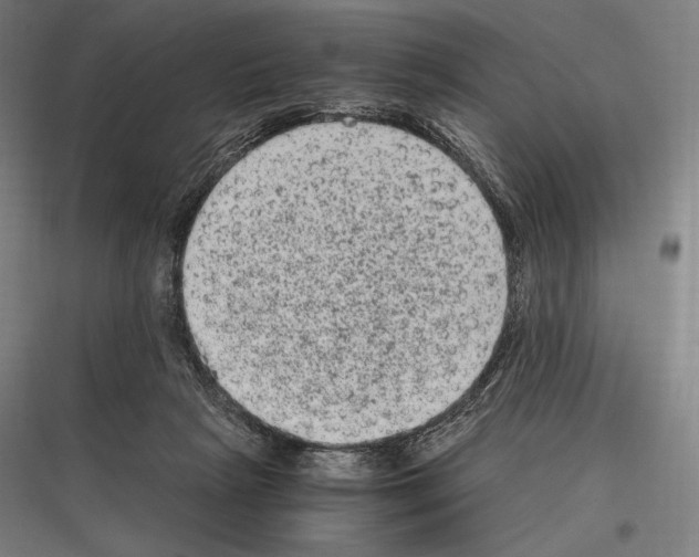 X0000116780265201001281220