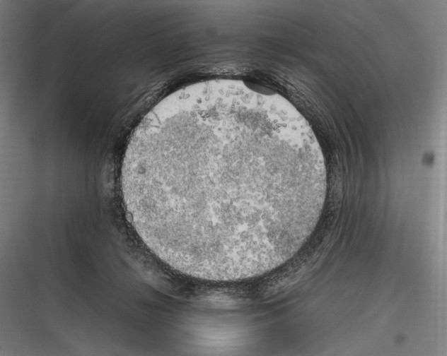 X0000116780268201001281220