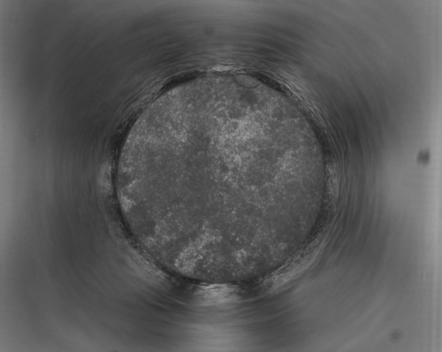 X0000116780269201001281220