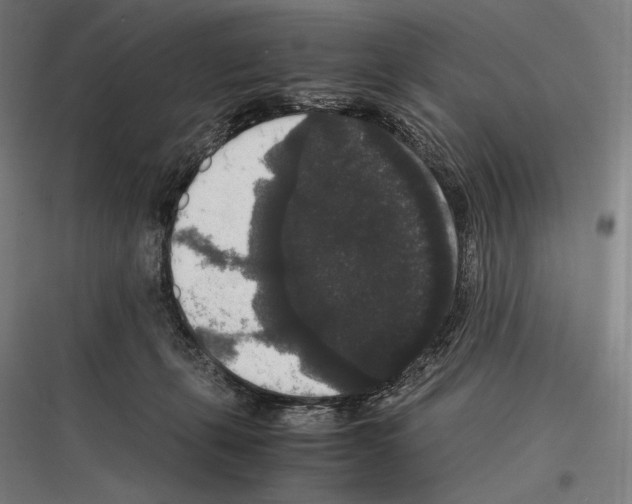 X0000116780271201001281221