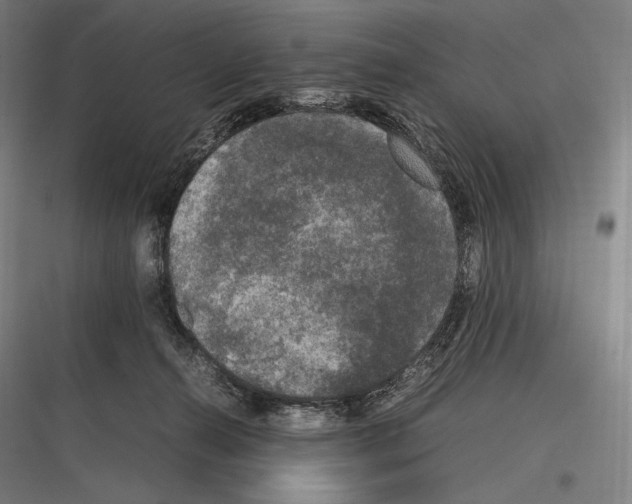 X0000116780272201001281221