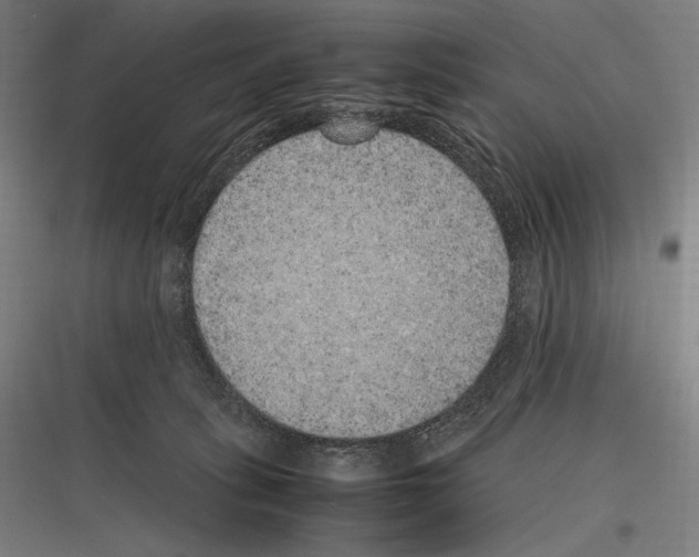 X0000116780275201001281221