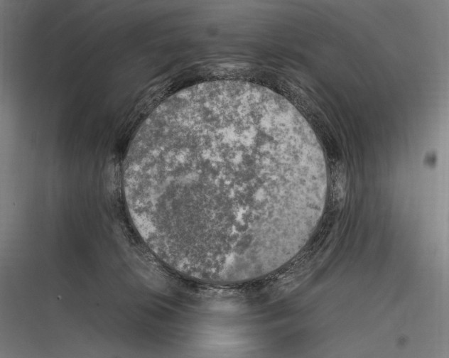 X0000116780276201001281221