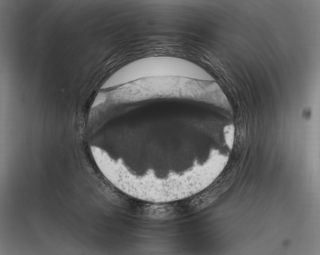 X0000116780277201001281221