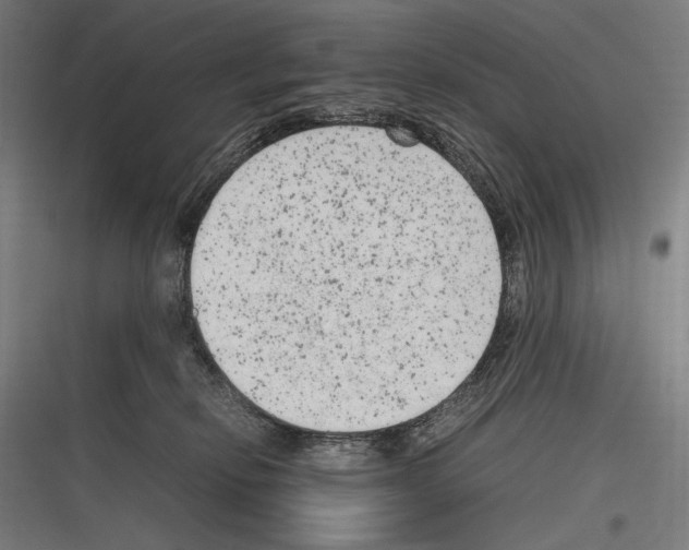 X0000116780278201001281221