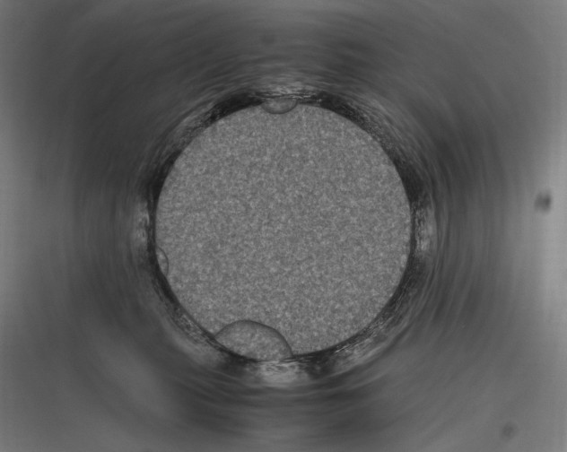 X0000116780279201001281221