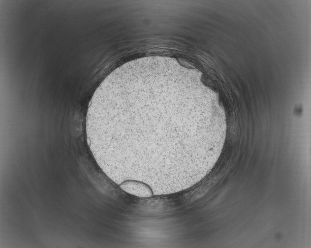 X0000116780282201001281221