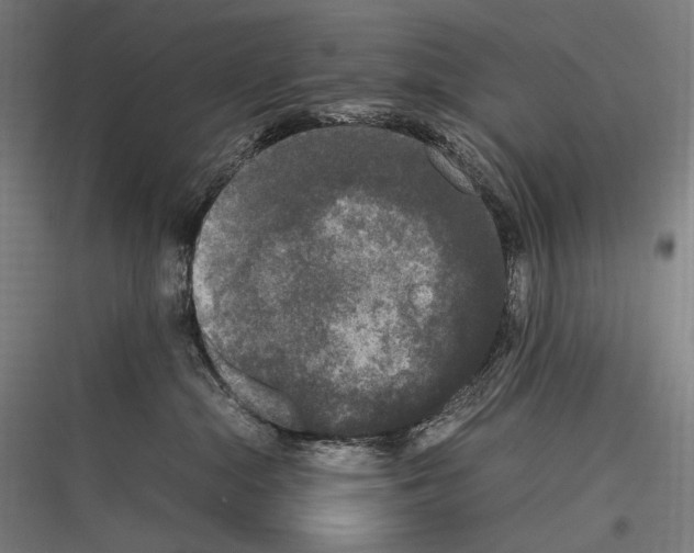 X0000116780284201001281221