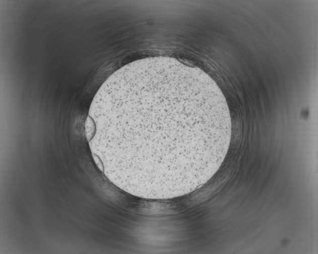 X0000116780286201001281221