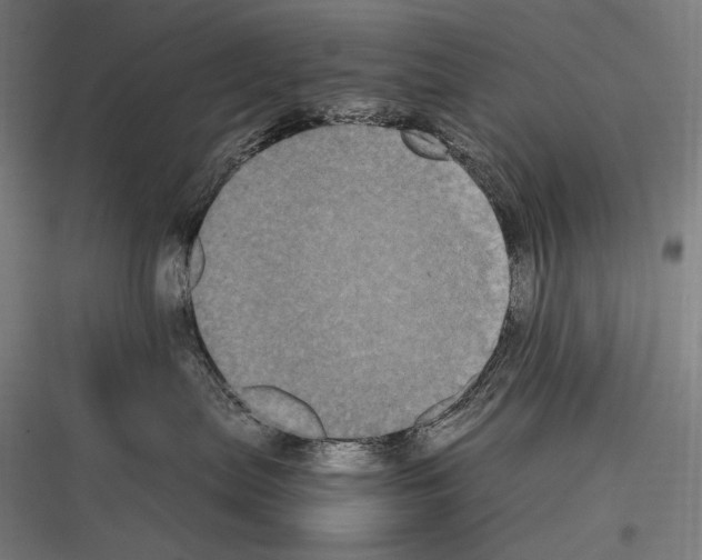 X0000116780287201001281221