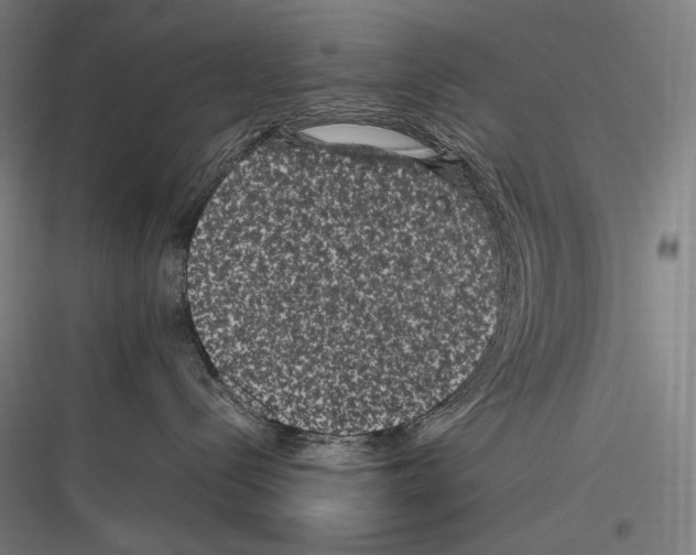 X0000116780288201001281221