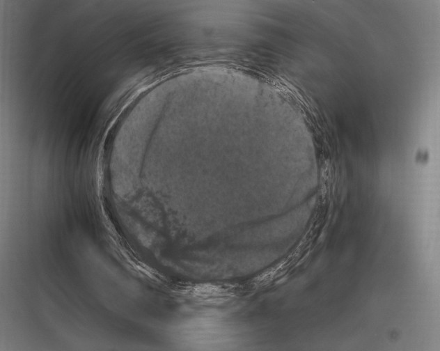 X0000116780290201001281220