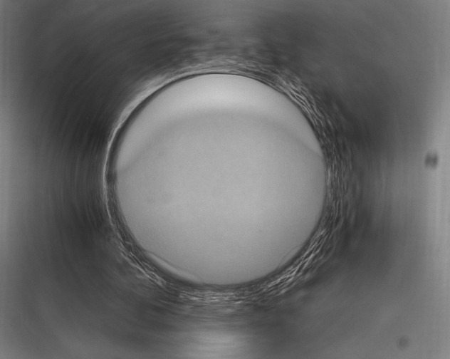 X0000116780292201001281220