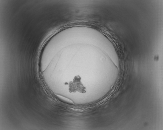 X0000116780293201001281220