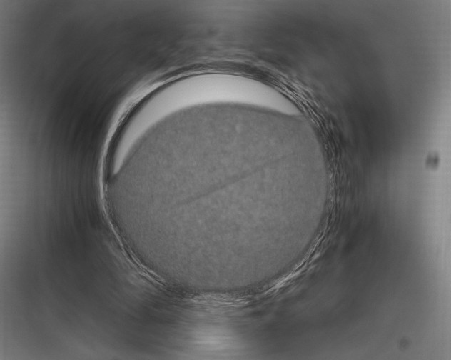 X0000116780294201001281220