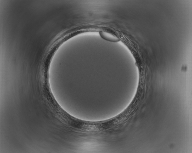 X0000116780295201001281220