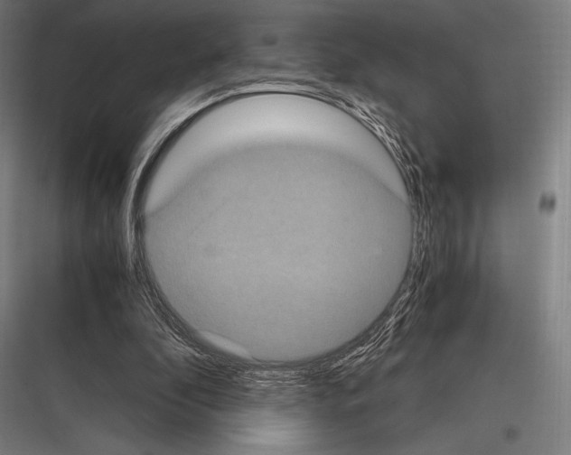 X0000116780296201001281220