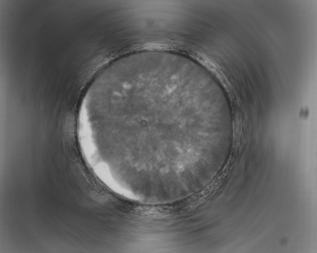 X0000116780297201001281220