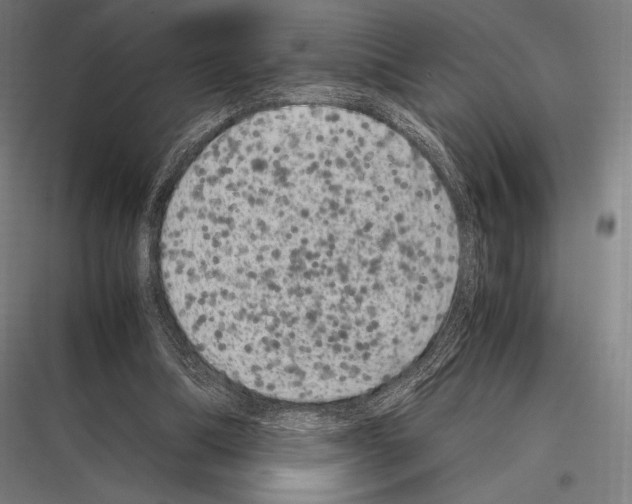 X0000116780298201001281220