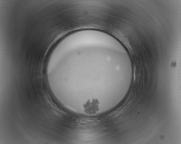 X0000116780300201001281220