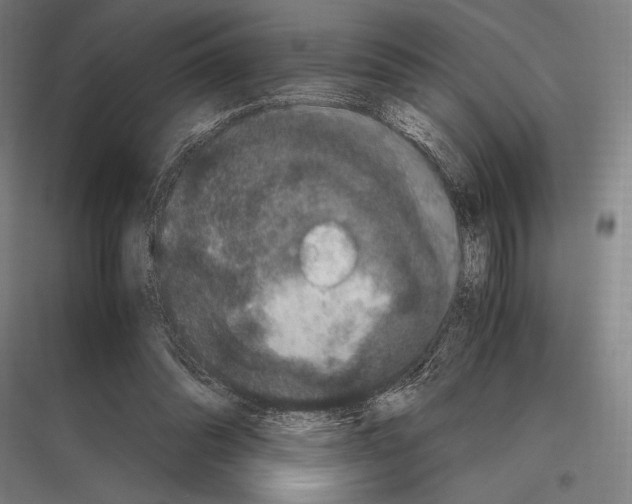 X0000116780302201001281220