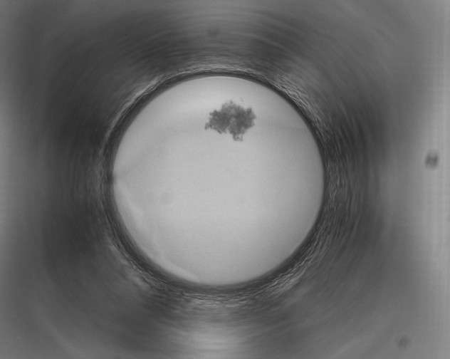 X0000116780304201001281220