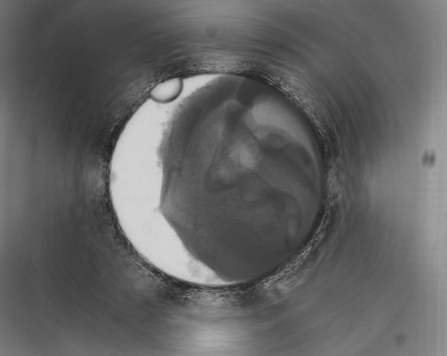 X0000116780305201001281220