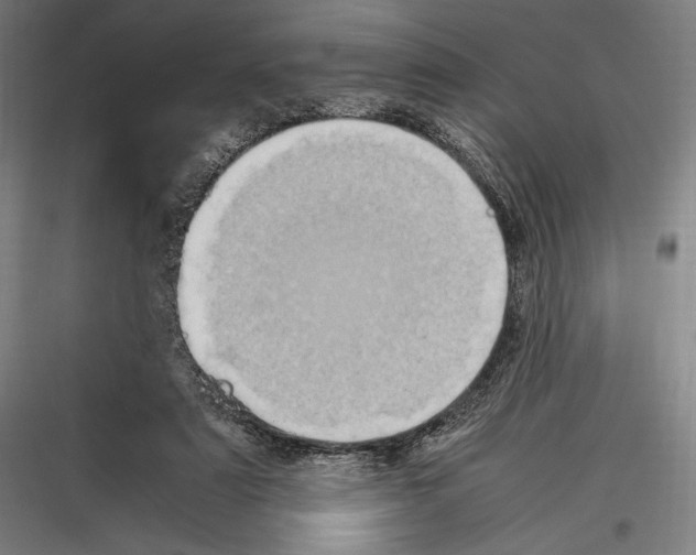 X0000116780307201001281220