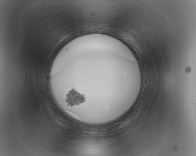 X0000116780312201001281220