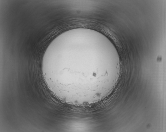 X0000116780313201001281220