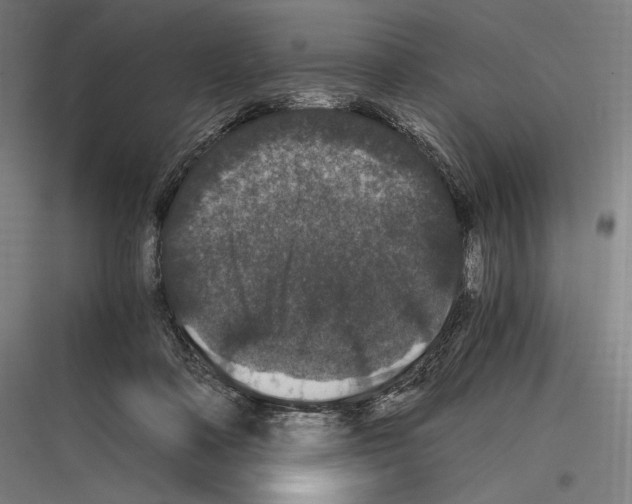 X0000116780314201001281220