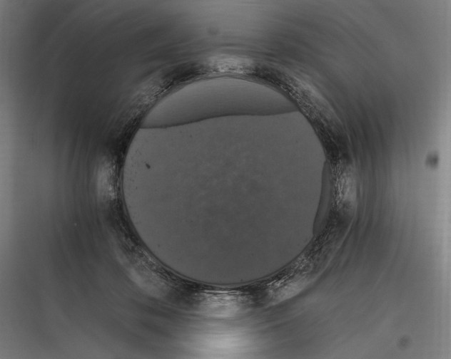 X0000116780316201001281220