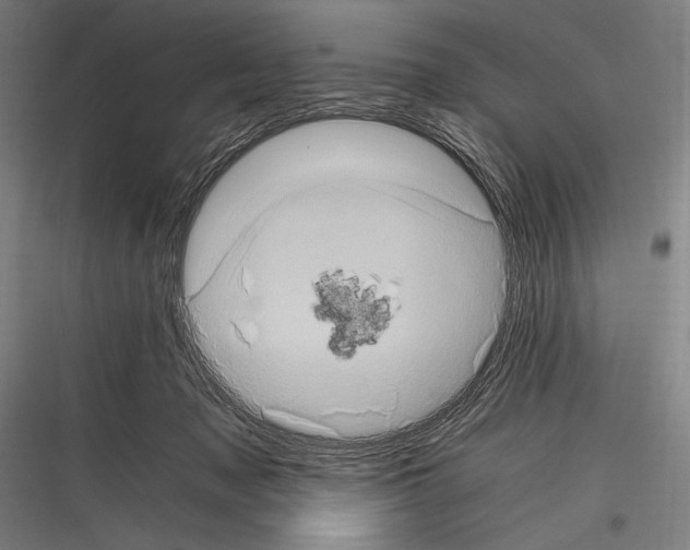 X0000116780317201001281220