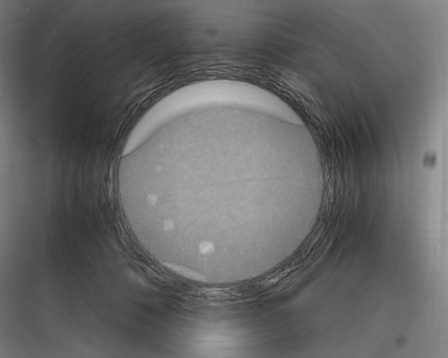 X0000116780320201001281220