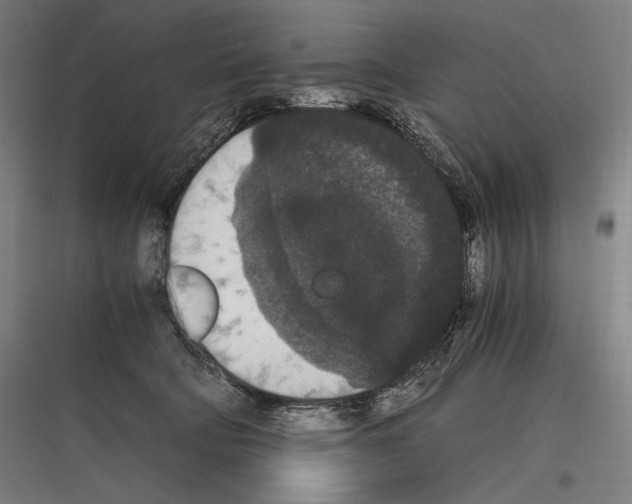 X0000116780322201001281220