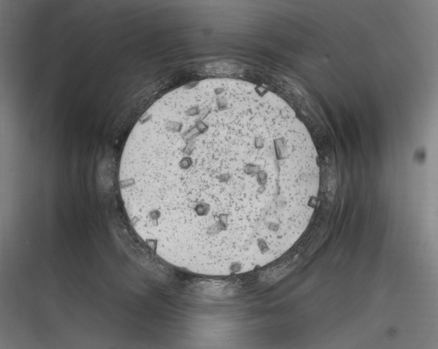 X0000116780326201001281220