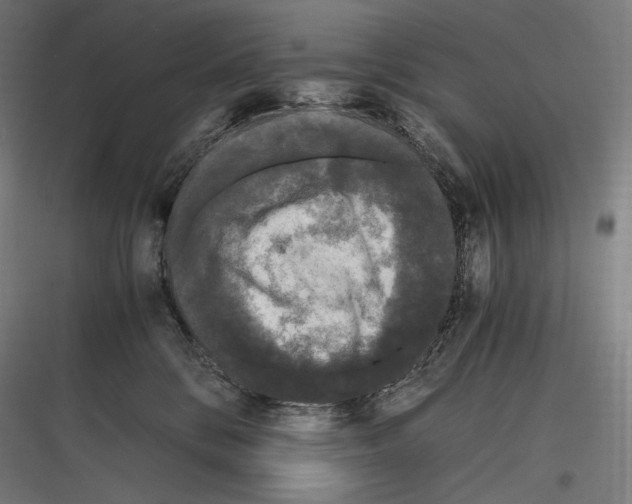 X0000116780328201001281220