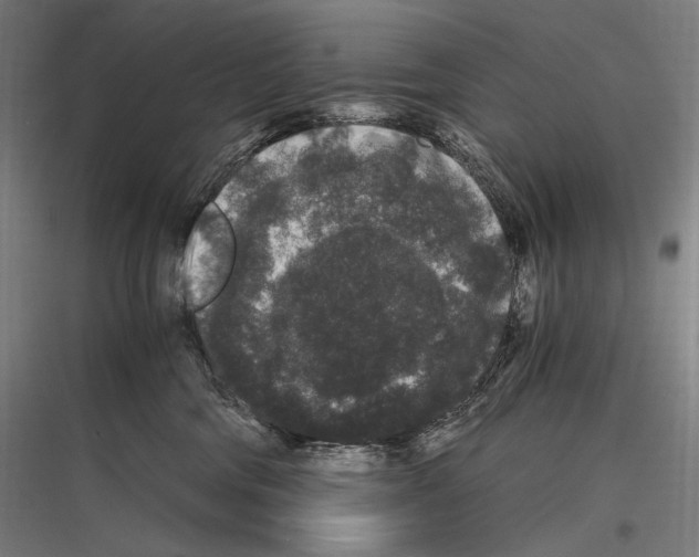 X0000116780330201001281220