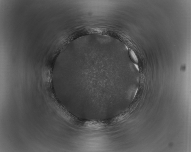 X0000116780331201001281220