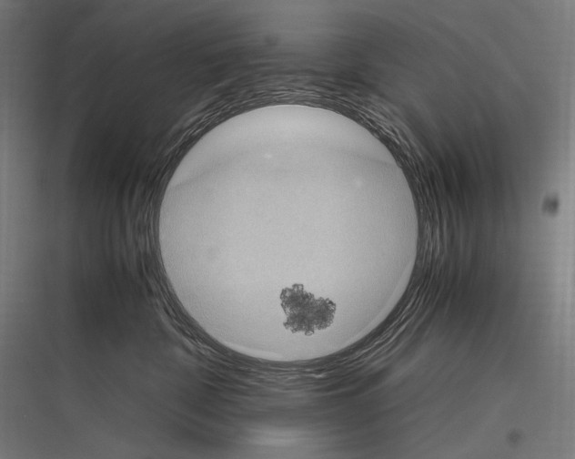 X0000116780332201001281220