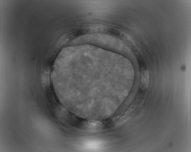 X0000116780333201001281219