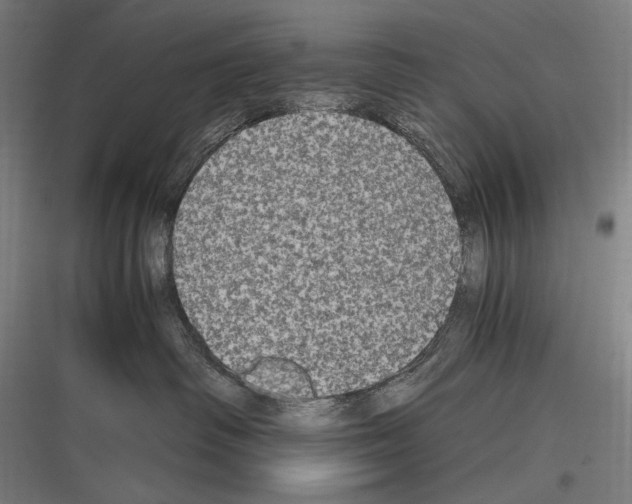 X0000116780334201001281219