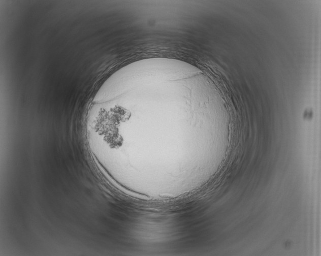 X0000116780336201001281219