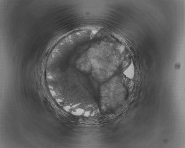 X0000116780337201001281219