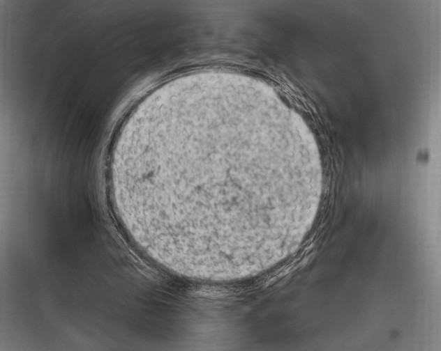 X0000116780341201001281219